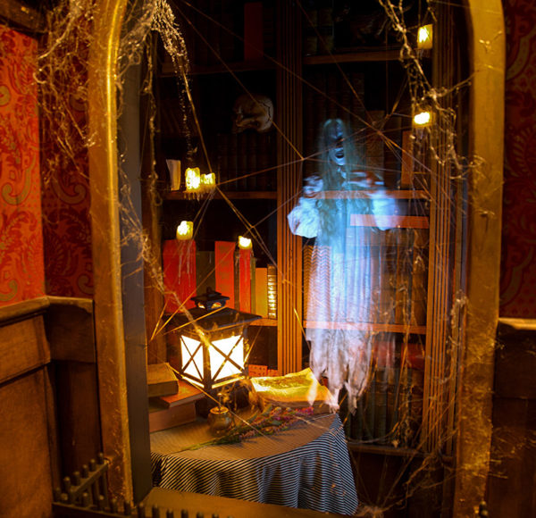 indoor picture of a spooky looking room with a library, table, lantern, spider webs and a ghost