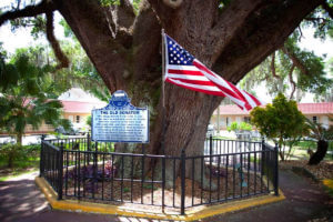 st augustine old senator hotel