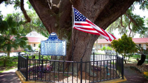 st augustine old senator hotel