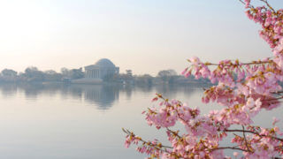 Tidal Basin - tidal basin