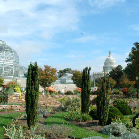 Picture of a garden in the background, a glass encased green house to the left in the background and the top of the US Capitol in the center in the background