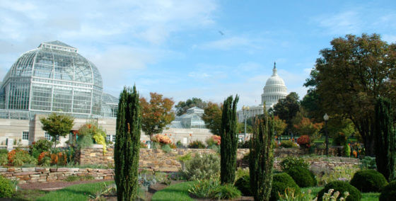 Picture of a garden in the background, a glass encased green house to the left in the background and the top of the US Capitol in the center in the background
