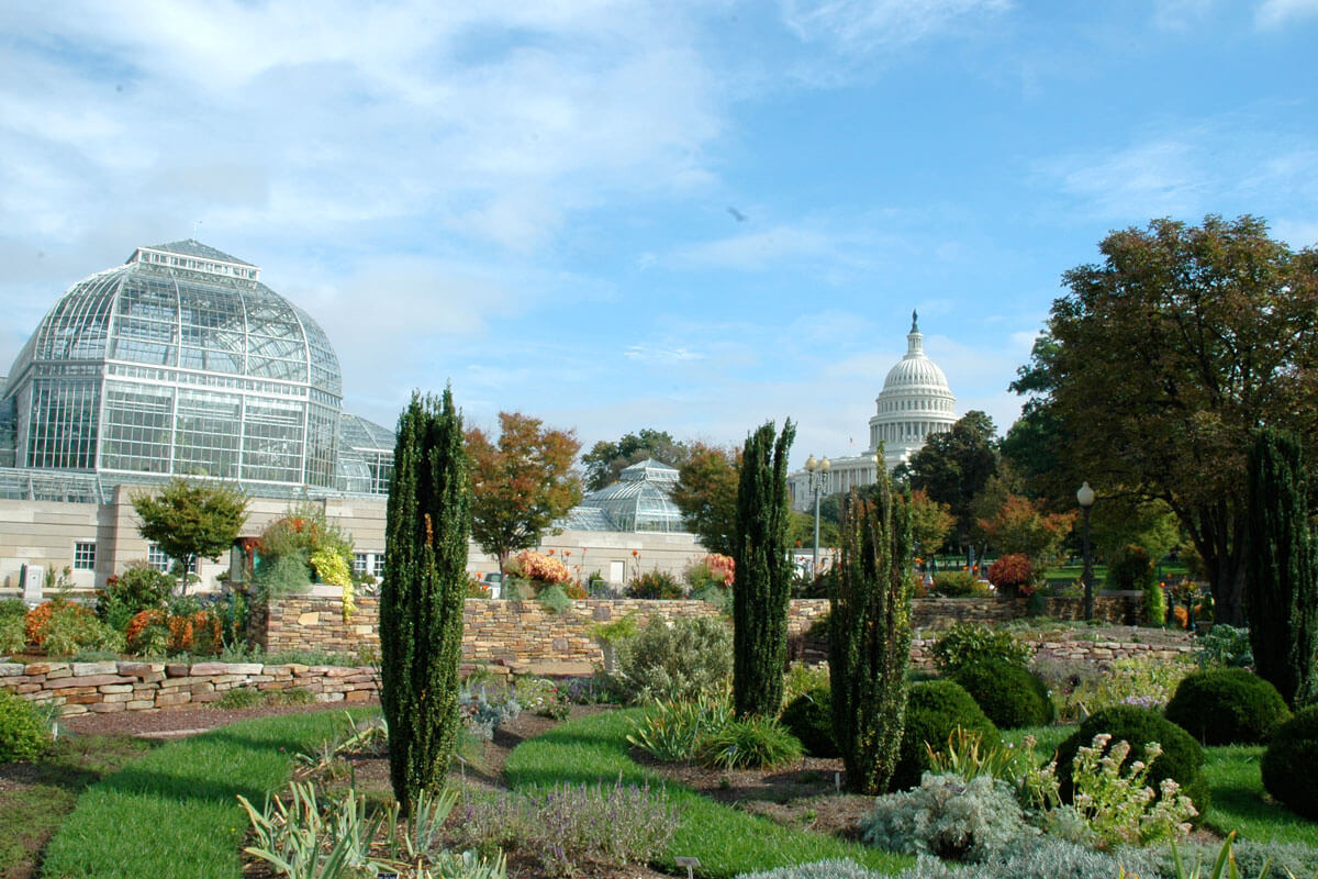 Picture of a garden in the background, a glass encased green house to the left in the background and the top of the US Capitol in the center in the background