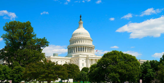 US capitol in Washington DC