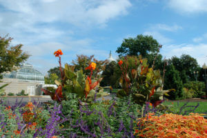 washington-dc-botanic-garden