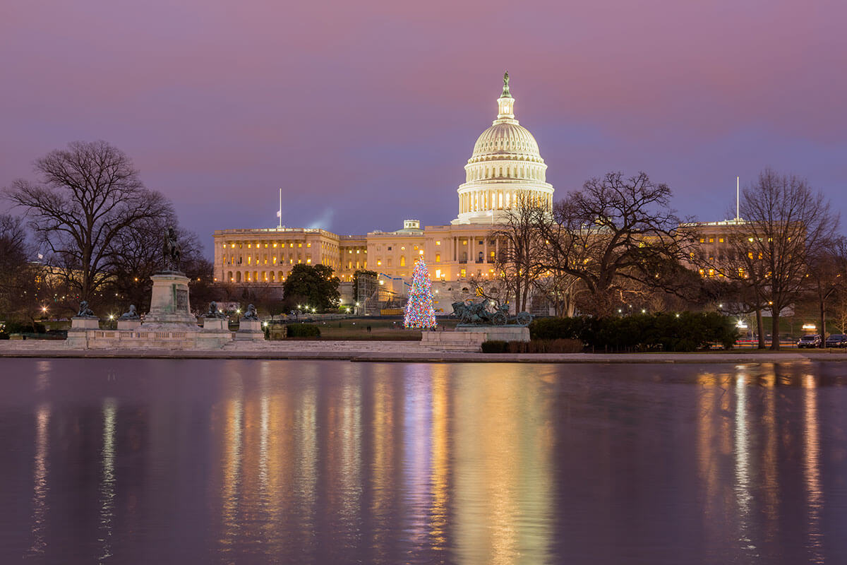 Winter Things to Do In Washington DC