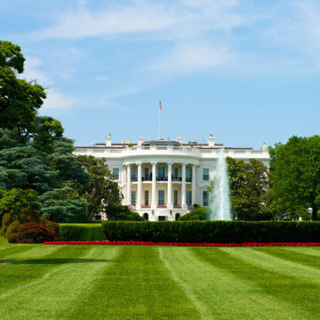 white house in Washington DC