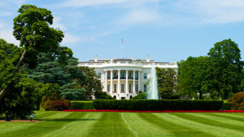 white house in Washington DC