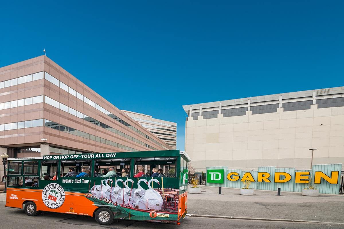 boston DT garden