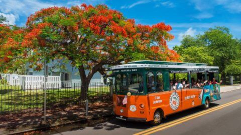 key west trolley houses