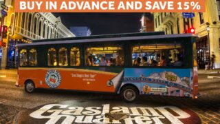 San Diego City Lights Night Tour driving past Balboa Park and the words Early Bird Gets the View! BUY IN ADVANCE AND SAVE 15%