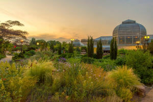 botanic garden public park washington dc during sunset