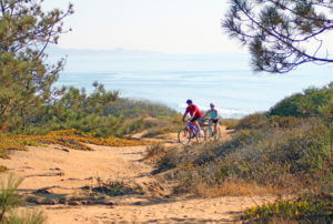 torrey pines bike ride trail in san diego