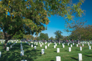 picture of arlington national cemetery tours vehicle driving past rows of tombstones