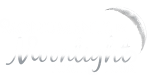 Monuments By Moonlight logo