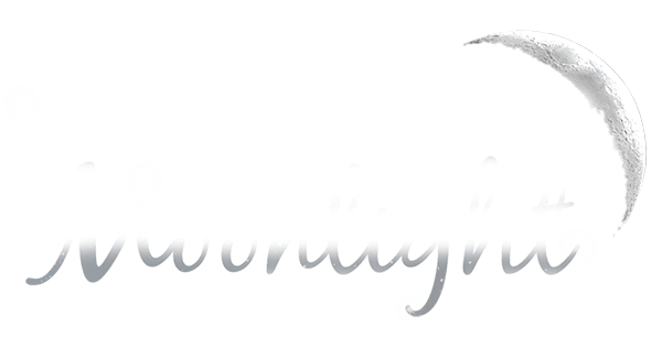 Monuments By Moonlight logo