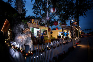 St. Augustine, FL - Love Tree