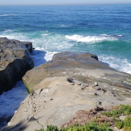 screenshot from Google Maps of Windansea Beach in San Diego, CA