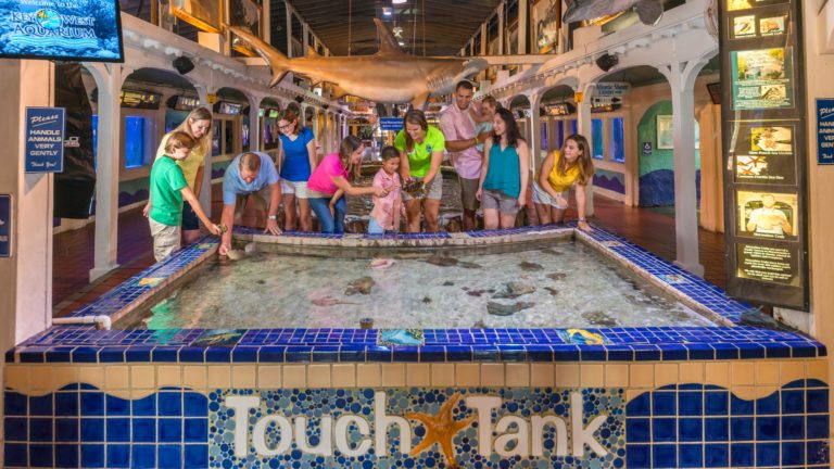group of tourists of various ages leaning over the Key West Aquarium Touch Tank and holding various sea life; background features various aquarium tanks and foreground shows the words 'touch tank'