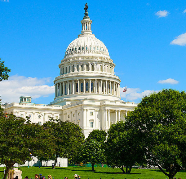 US Capitol dome in Washington DC surrounded by many trees