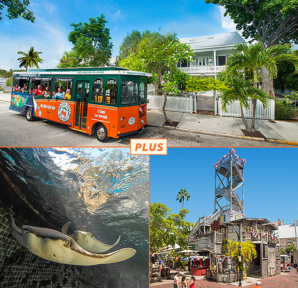 Trolley, Aquarium and Shipwreck Package