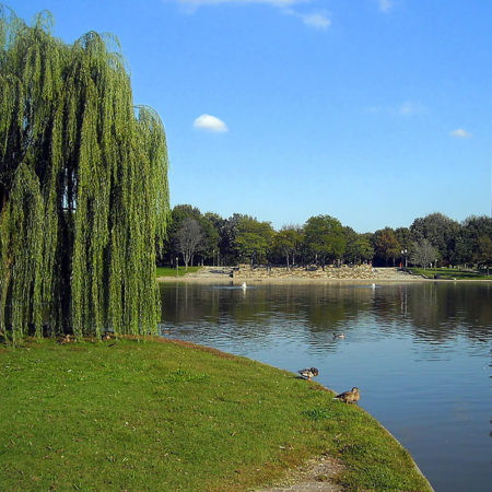 picture showing trees on the left, a lake and washington monument to the right, and the reflection of Washington Monument obelisk on lake