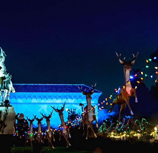 San Diego Christmas Lights Tour 2023 San Diego Holiday Tours