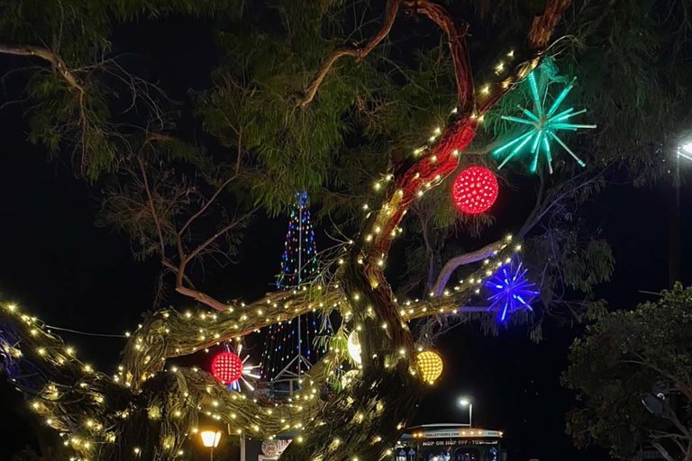 San Diego holiday lights