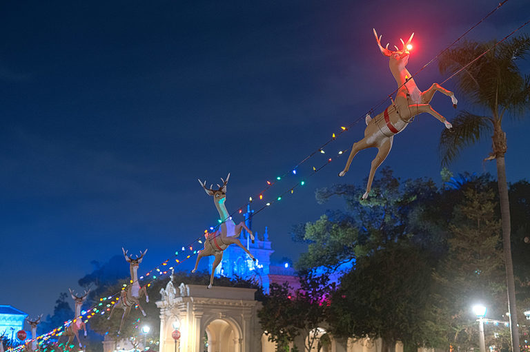 row of reindeer and string of holiday lights in San Diego