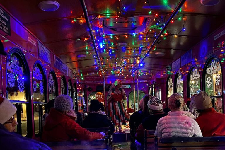 San Diego holiday trolley interior