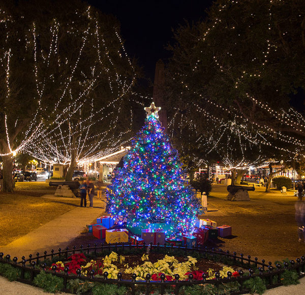 night time picture of St. Augustine plaza with large trees and Christmas tree decorated with holiday lights