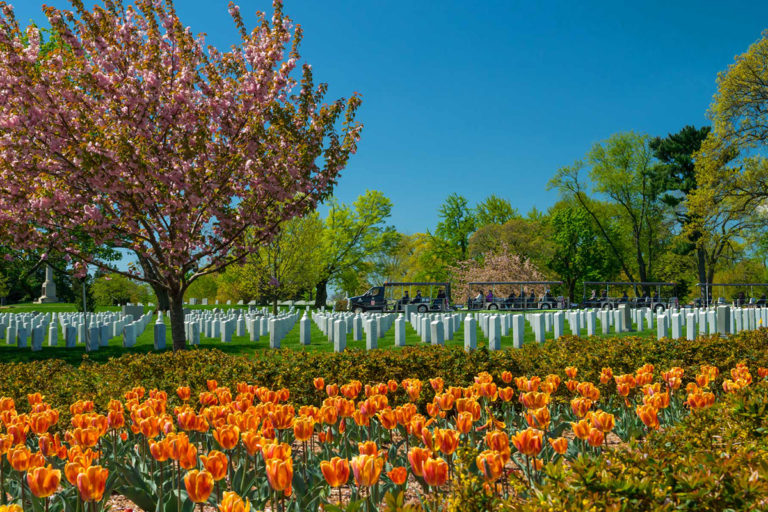 open tour vehicle at Arlington National Cemetery driving past rows of tombstones and tulips in the foreground