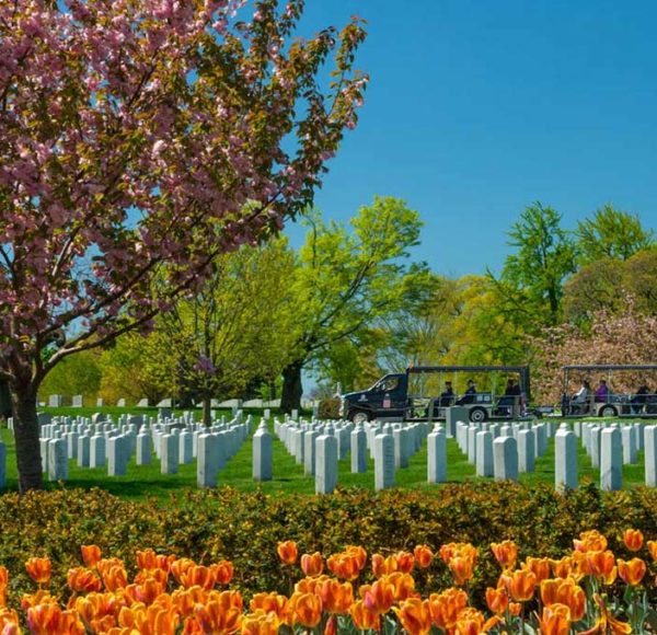 old town trolley tours arlington cemetery