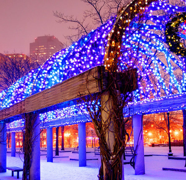 nighttime picture of a trellis with Christmas lights in Boston