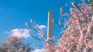 Washington DC Attractions - 