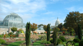 DC Architecture Guide For Your Next Vacation – Must See Buildings - Washington DC Botanical Garden