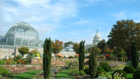Washington DC Botanical Garden