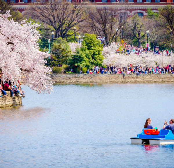 Boat on Tidal Basin