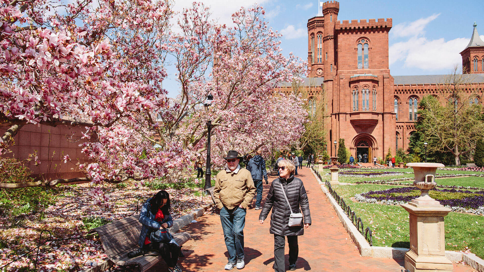 First Timers Guide to the DC Cherry Blossom Festival