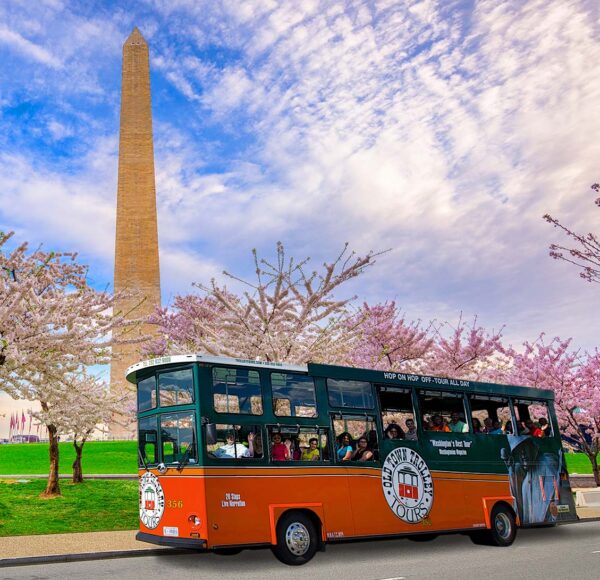 Washington DC trolley with cherry blossoms and Washington Monument in the background