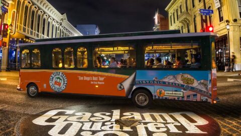 San Diego City Lights Night Tour driving past Balboa Park