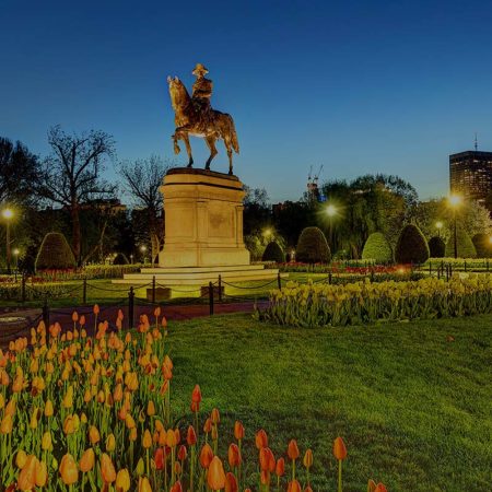 boston common at night during spring