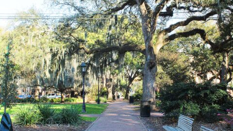 Savannah Taylor Square