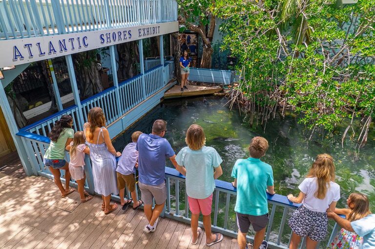 Key West Aquarium Atlantic shores exhibit