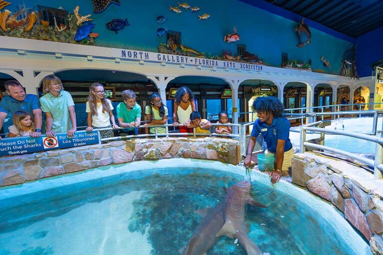 guests at Key West Aquarium feeding exhibit