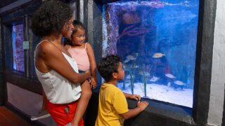 Key West Aquarium - family at Key West Aquarium tank