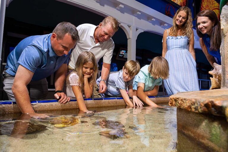 Key West Aquarium guests at touch tank