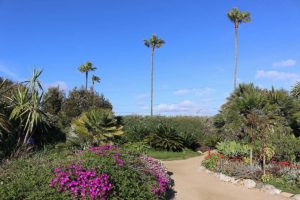 Meditation Gardens