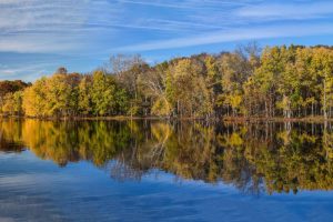 Must visit Radnor Lake State Park in 12 south Nashville