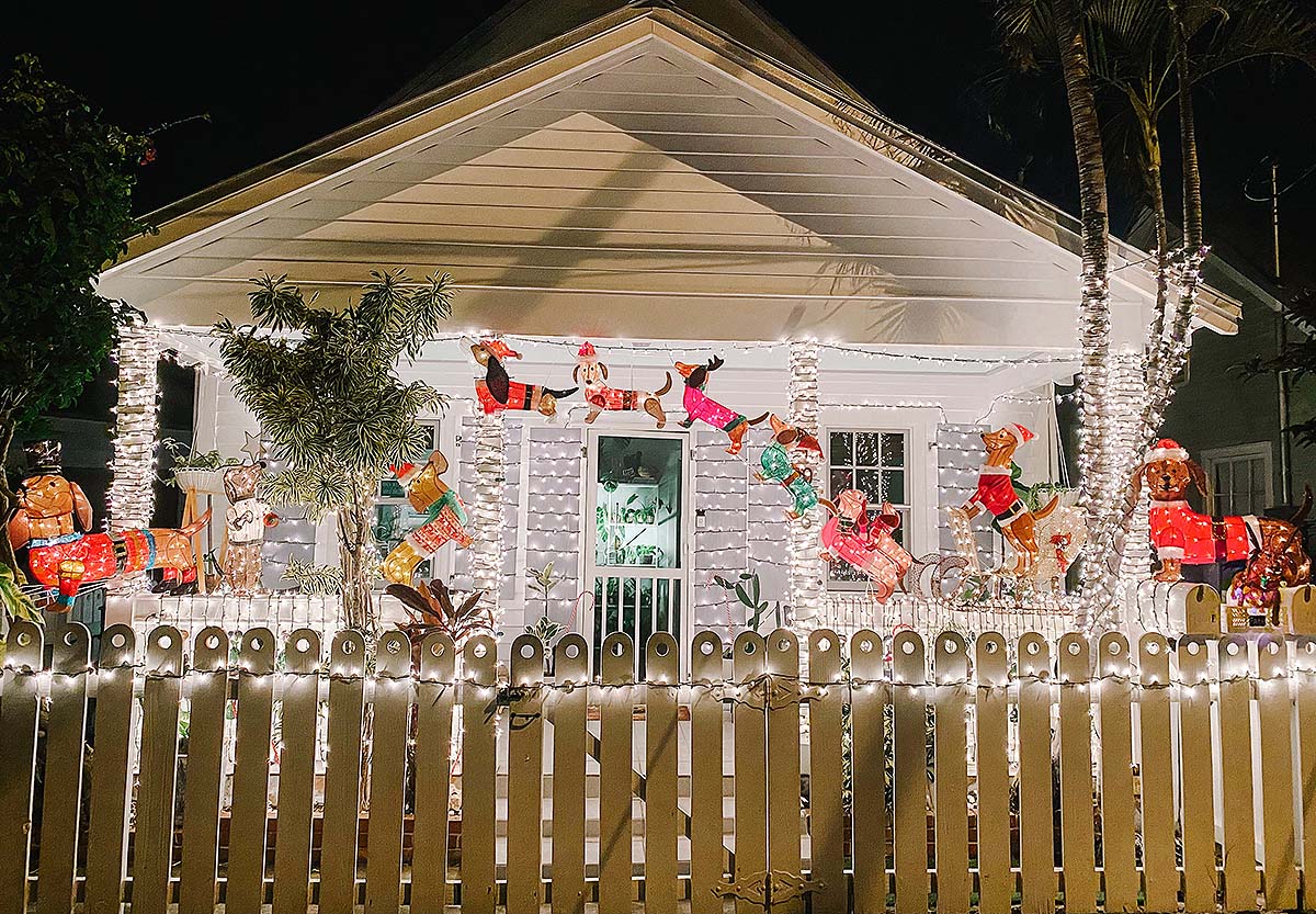 Holiday light winner 